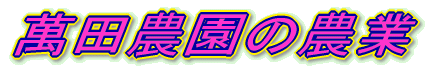 萬田農園の農業