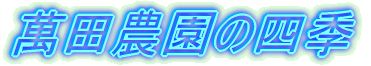 萬田農園の写真